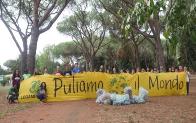 Un clima di pace? Puliamo il mondo!